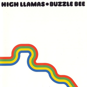 Pat Mingus by The High Llamas