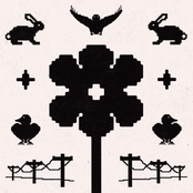 New Nest (Expanded Edition)