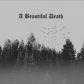 A Beautiful Death