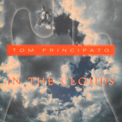 In The Clouds by Tom Principato