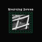 Mourning Doves
