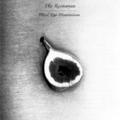 Dub Syndicate-Research & Development