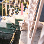 Jaguar Sun: This Empty Town