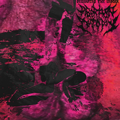 Degrading The Unborn (Single)