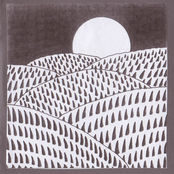 The Ebb & Flow of Distant Moonlit Grass