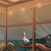 Where Birds Fly - Single