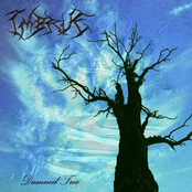 Damned Tree [single]