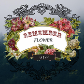 Remember : Flower