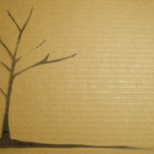 The Tiniest Bones, The Infinite Everything