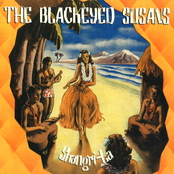 Hard Stuff by The Blackeyed Susans