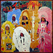 Indian Red by The Wild Tchoupitoulas