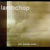 The Puppy And The Leaf by Lambchop