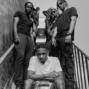 Fell in Love - Single