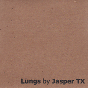 Lungs