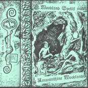 Amaranthine Woodlands