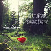 Tribute To The Breeders - Last Splash