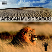 African Music Safari