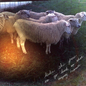 To Go Back To That Empty House - EP