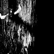 The Form of Thought from Beast (preview)