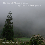 My Work Is Done, Part V: Shepherds in the Fog