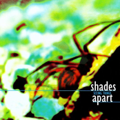 Trying To Remember by Shades Apart