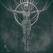 Metamorphosis - Single