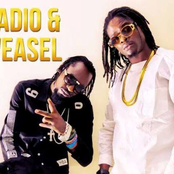 radio and weasel