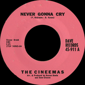 Never Gonna Cry / A Crush On You