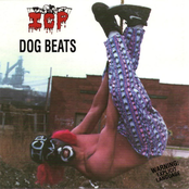 Dog Beats