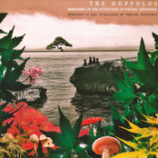 Immersing In The Aftertaste Of Special Yesterday