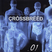 Crossbreed: .01