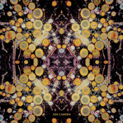 Lethargy & Repercussion