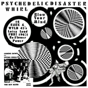 the psychedelic experience, volume 3 (psychedelic illusions)