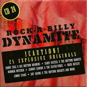 Rock-A-Billy Dynamite, Vol. 24