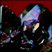 jardin du sommeil. chant d'amour sur la nuit grandissante