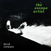 Bird Streets: The Escape Artist