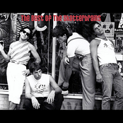 Best of the Skatterbrains