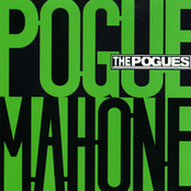 pogue mahone