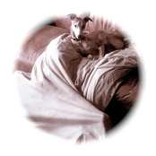 Cleopatra in Reverse