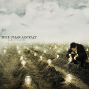 Calm In The Chaos by The Human Abstract