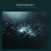 anjunadeep: 05