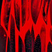 Вода и Вино