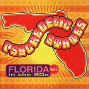 Psychedelic States: Florida In The 60s Vol. 3