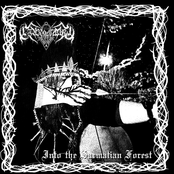 Into the Sarmatian Forest