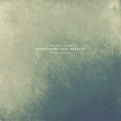 Everything Felt Perfect