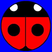 pinsineedles.stitches session