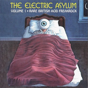 the electric asylum vol. 1 - rare british acid freakrock