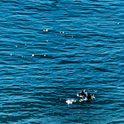 one second (with Kim Suyoung)