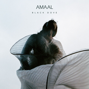 Amaal: Black Dove