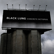 The Synthetic Century by Black Lung